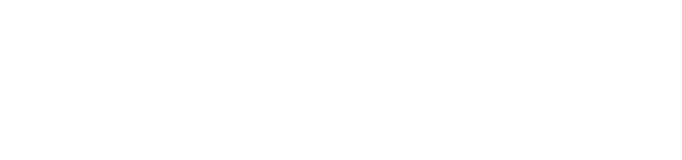 Brainstone Global Group LLC Logo
